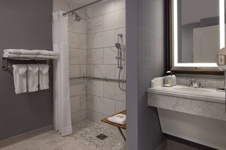 Hotel Roanoke & Conference Ctr, Curio Collection by Hilton 
