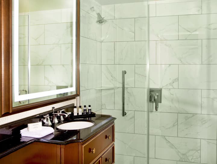 Hotel Roanoke & Conference Ctr, Curio Collection by Hilton 
