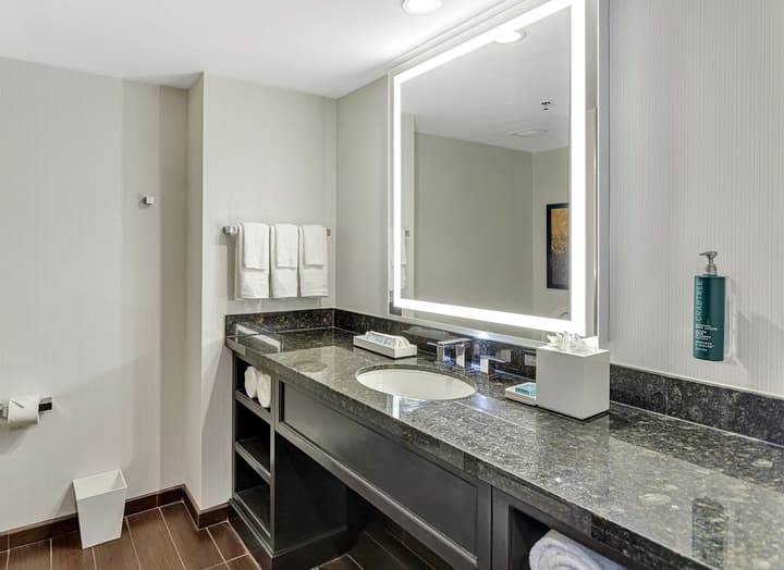 Hilton Miami Downtown
