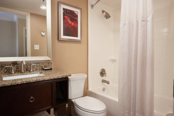 Delta Hotels by Marriott Orlando Lake Buena Vista