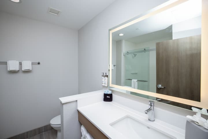 Holiday Inn Express & Suites Tampa Stadium – Airport Area by IHG
