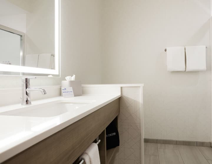 Holiday Inn Express & Suites Tampa Stadium – Airport Area by IHG