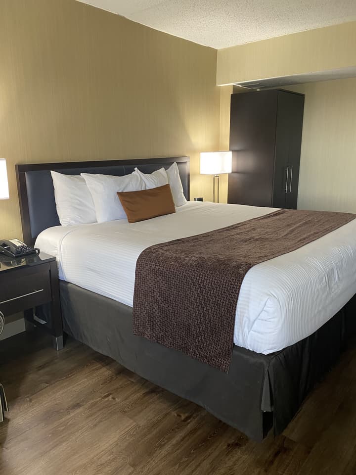 Wingate by Wyndham Springfield