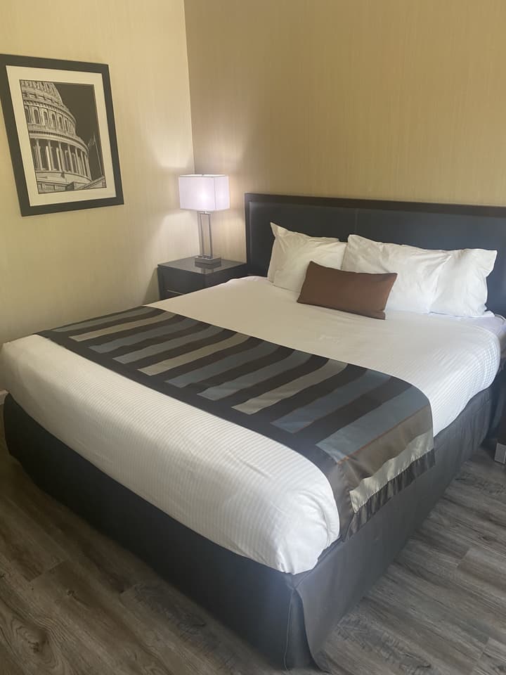 Wingate by Wyndham Springfield