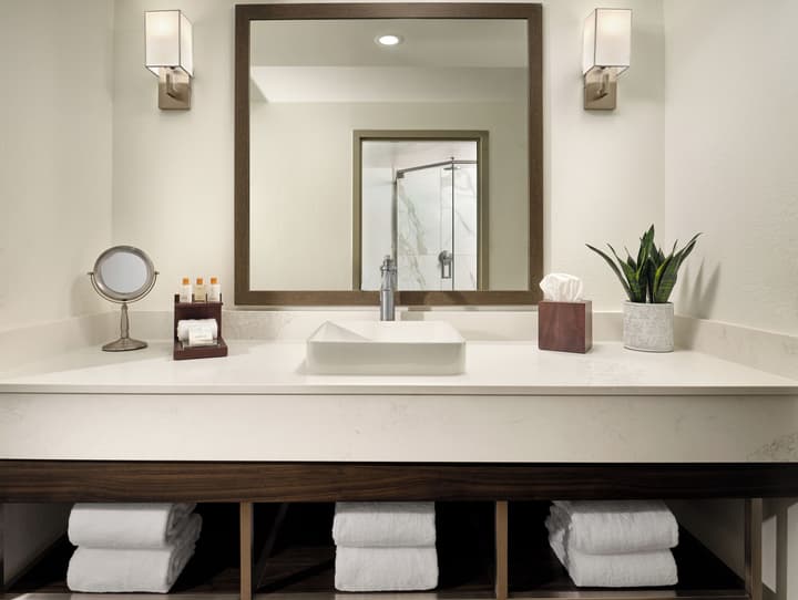 Buena Vista Suites Orlando