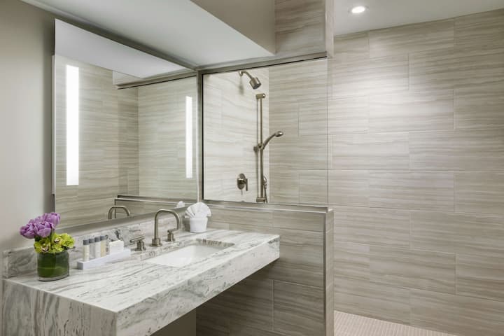 Hilton Boston Park Plaza