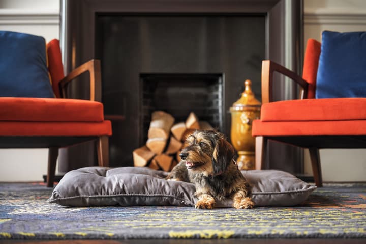 voco Edinburgh - Royal Terrace by IHG