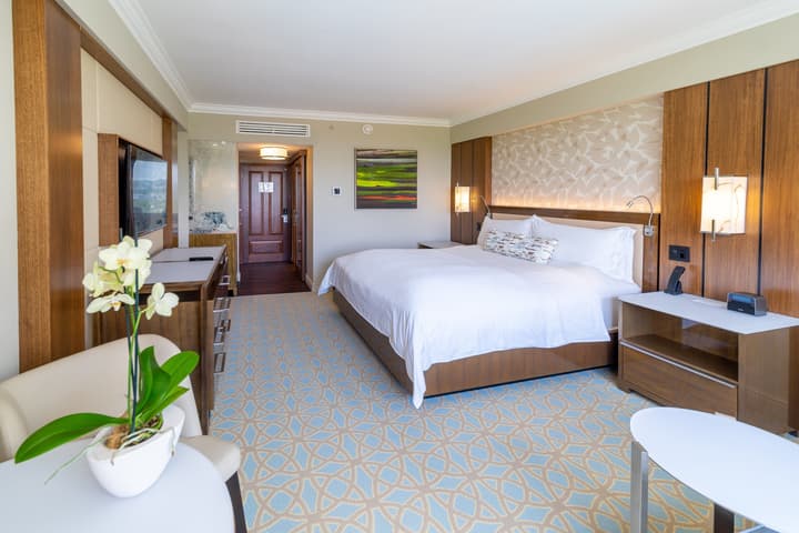 InterContinental Costa Rica at Multiplaza Mall by IHG