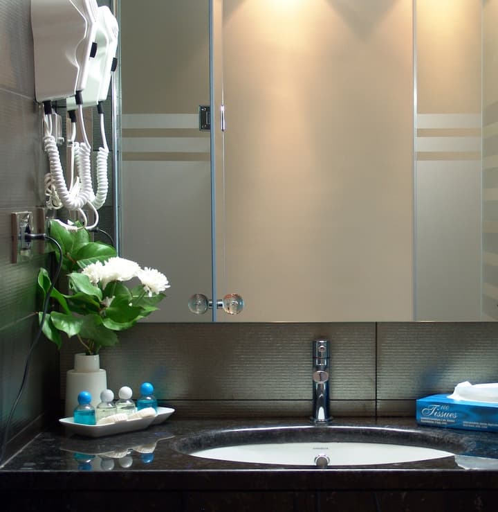 Hotel Tirana International & Conference Center 4*