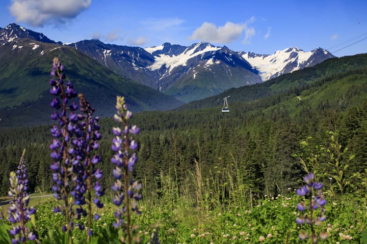 Alyeska Resort
