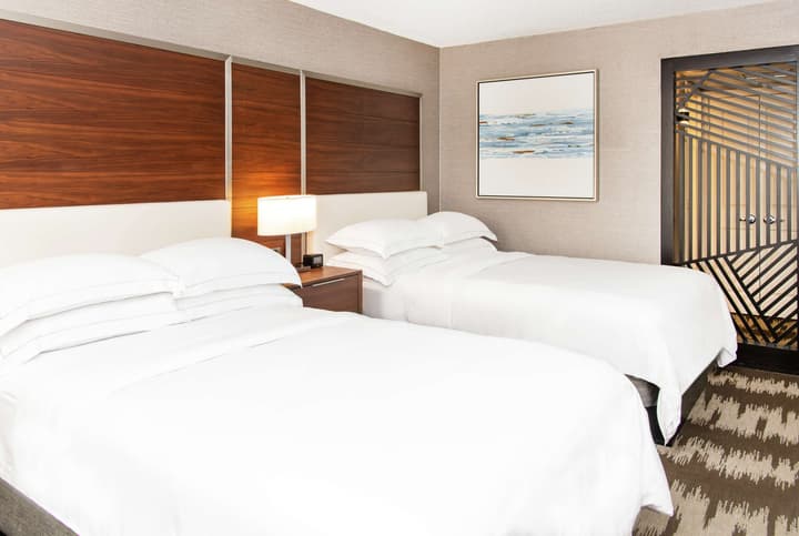 Hilton Tampa Airport Westshore