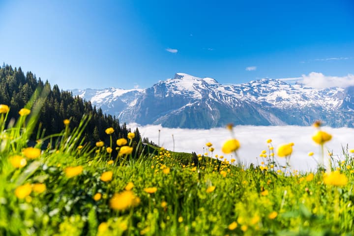 Hotel Regina Titlis, a Trademark Collection by Wyndham