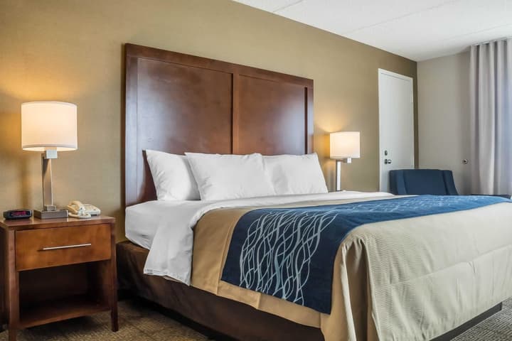 Comfort Inn The Pointe