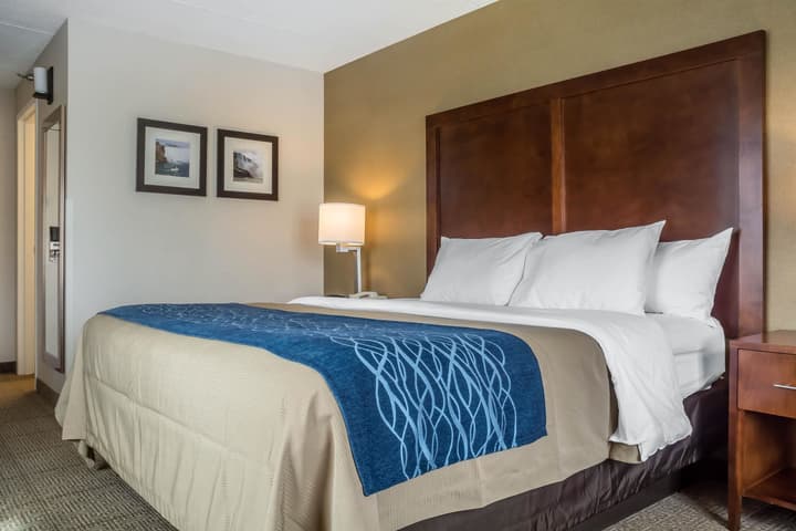 Comfort Inn The Pointe