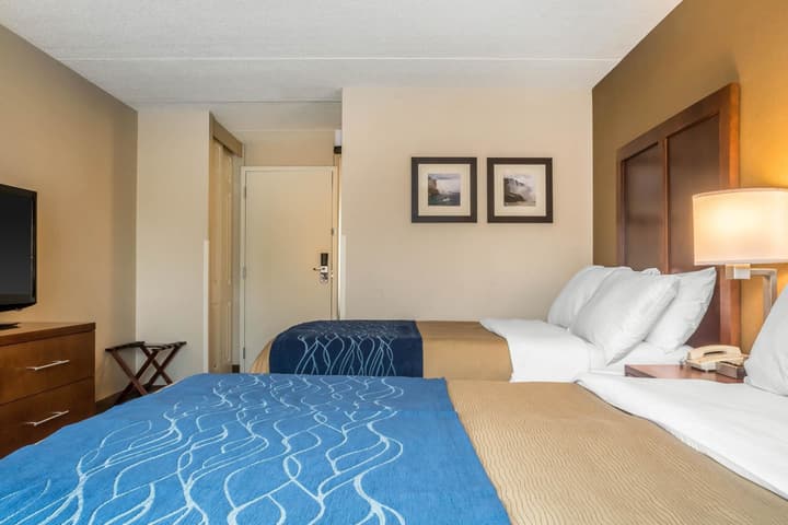 Comfort Inn The Pointe