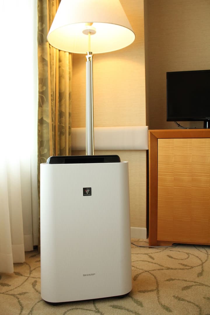 Hotel Okura Kyoto