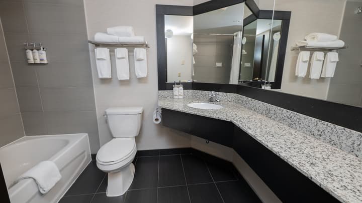 Holiday Inn Montréal Centre-Ville Downtown by IHG