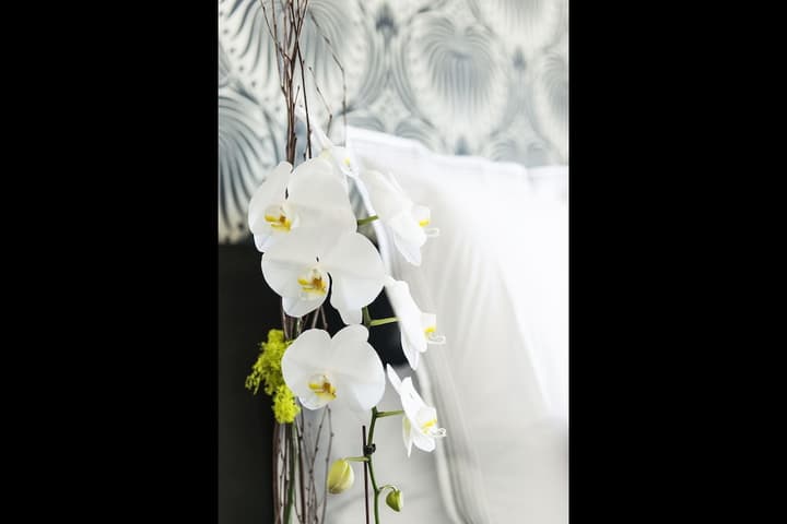 The Mayfair Hotel Los Angeles