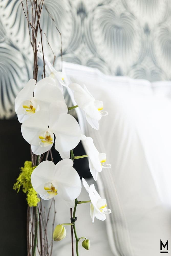 The Mayfair Hotel Los Angeles