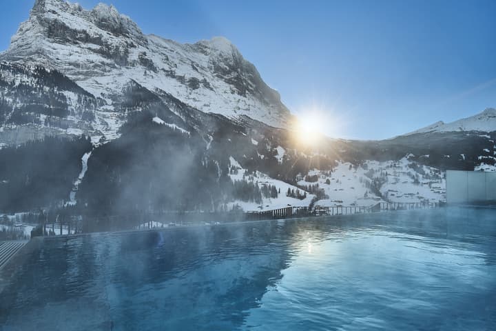 Hotel Spinne