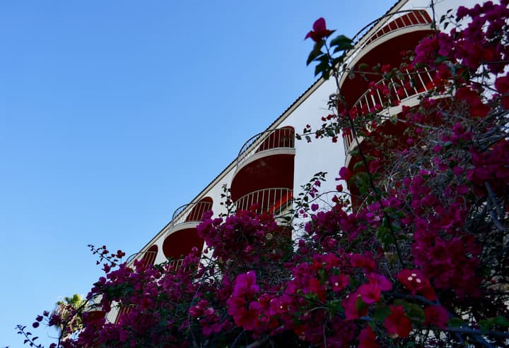 Golden Sails Hotel