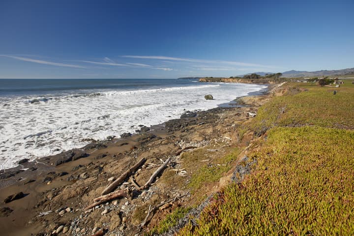 Cavalier Oceanfront Resort