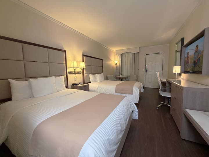 Safi Royal Luxury Centro