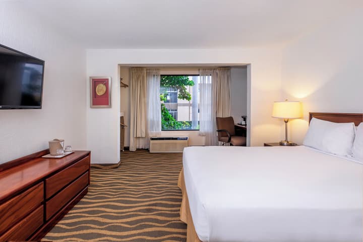 Irazu Hotel & Studios