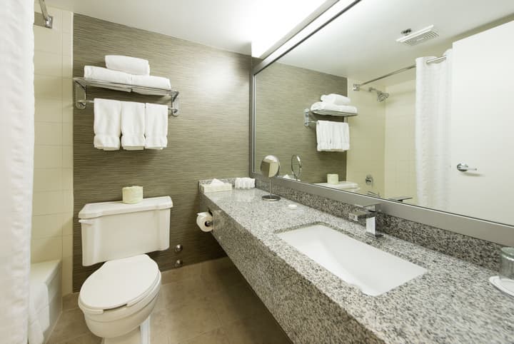 Toronto Don Valley Hotel and Suites
