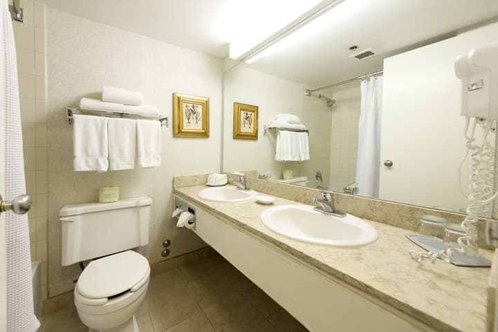 Toronto Don Valley Hotel and Suites