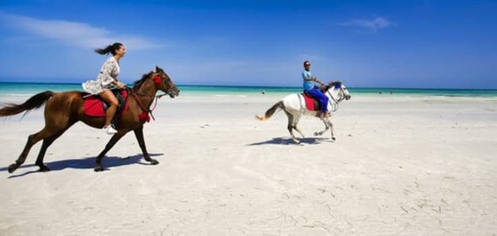 Djerba Plaza Thalasso & Spa
