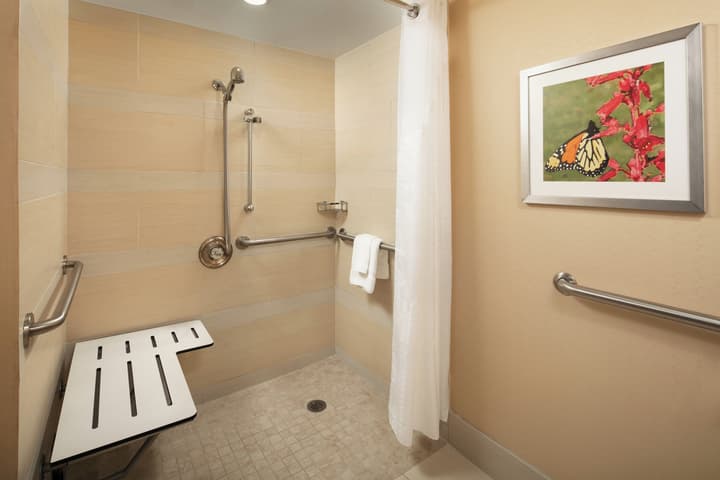 Holiday Inn Austin -Town Lake by IHG