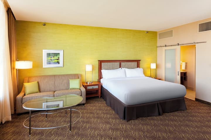 Holiday Inn Austin -Town Lake by IHG