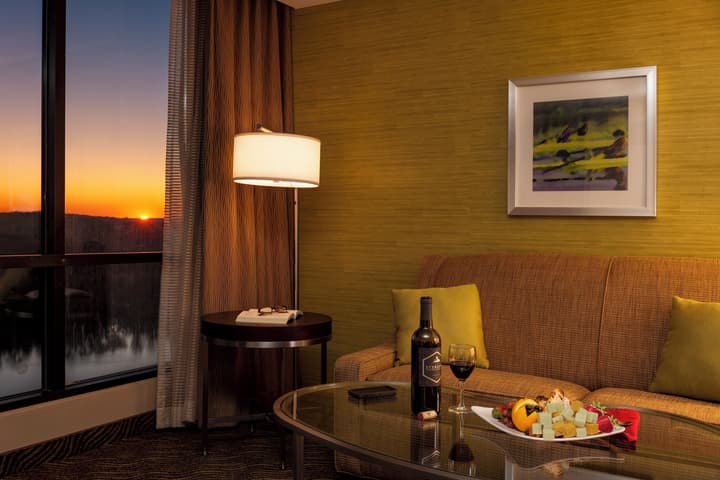 Holiday Inn Austin -Town Lake by IHG