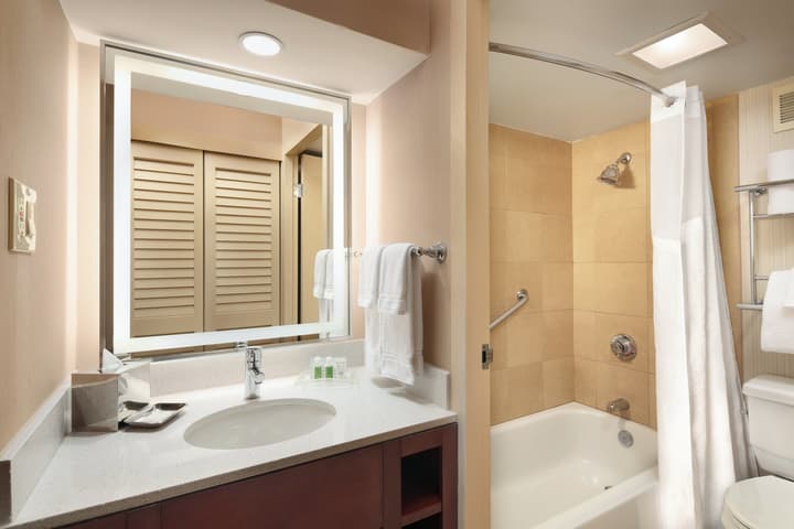 Holiday Inn Austin -Town Lake by IHG