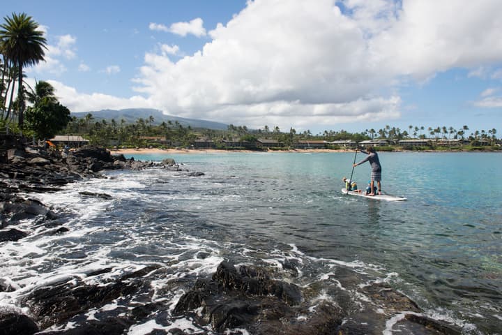Napili Kai Beach Resort