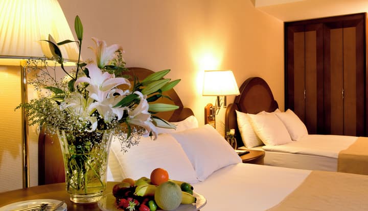 Altınel Ankara Hotel & Convention Center