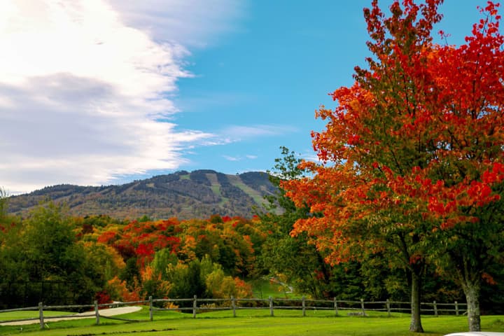 Killington Mountain Lodge, Tapestry Collection by Hilton