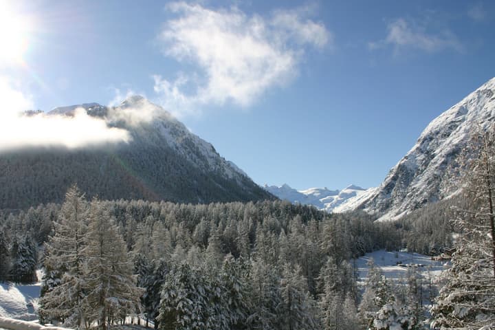Hotel Saratz Pontresina Mountain Resort & Spa