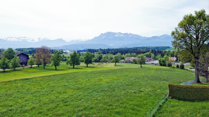 Holiday Inn Express Luzern - Neuenkirch by IHG