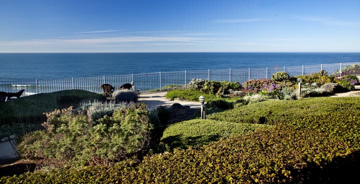 Cottage Inn By The Sea