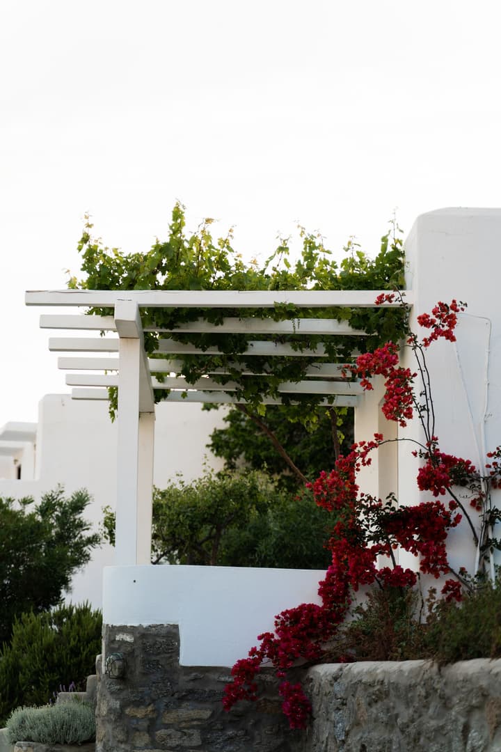 Rhenia Mykonos Hotel & Bungalows