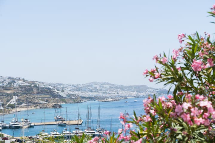 Rhenia Mykonos Hotel & Bungalows