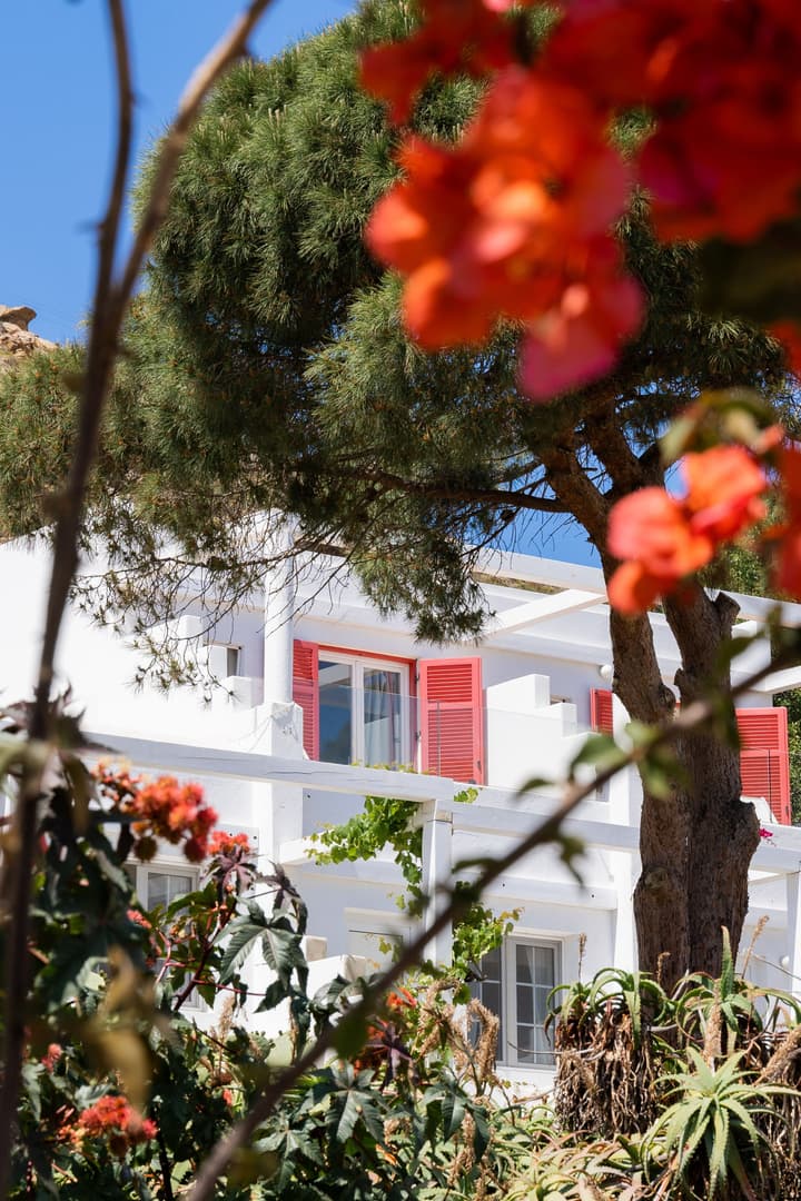 Rhenia Mykonos Hotel & Bungalows