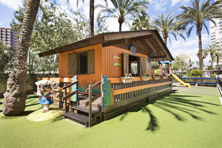 Sol Pelícanos Ocas