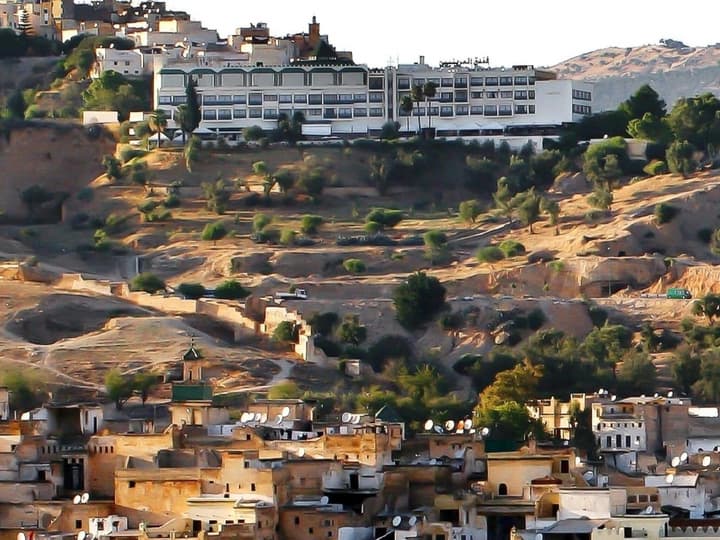 Les Merinides
