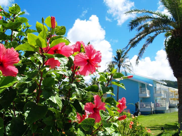 Okuma Private Beach & Resort