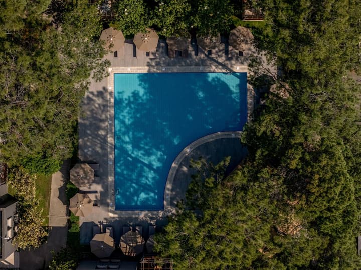 Balmy Foresta - All inclusive