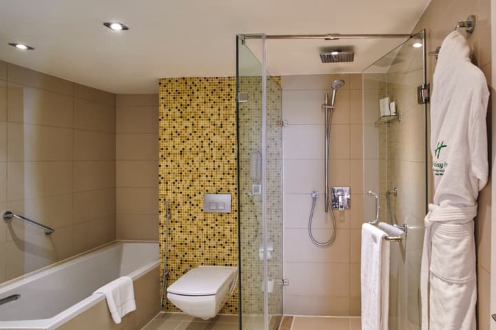 Holiday Inn Cairo Maadi by IHG