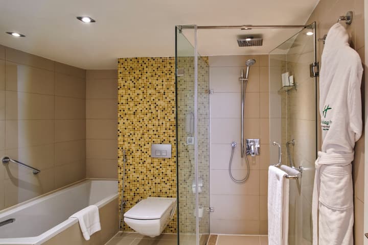 Holiday Inn Cairo Maadi by IHG